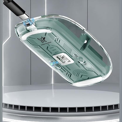 USB rechargeable transparent mouse charging